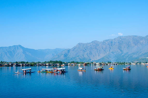 Dal Lake & shikaras