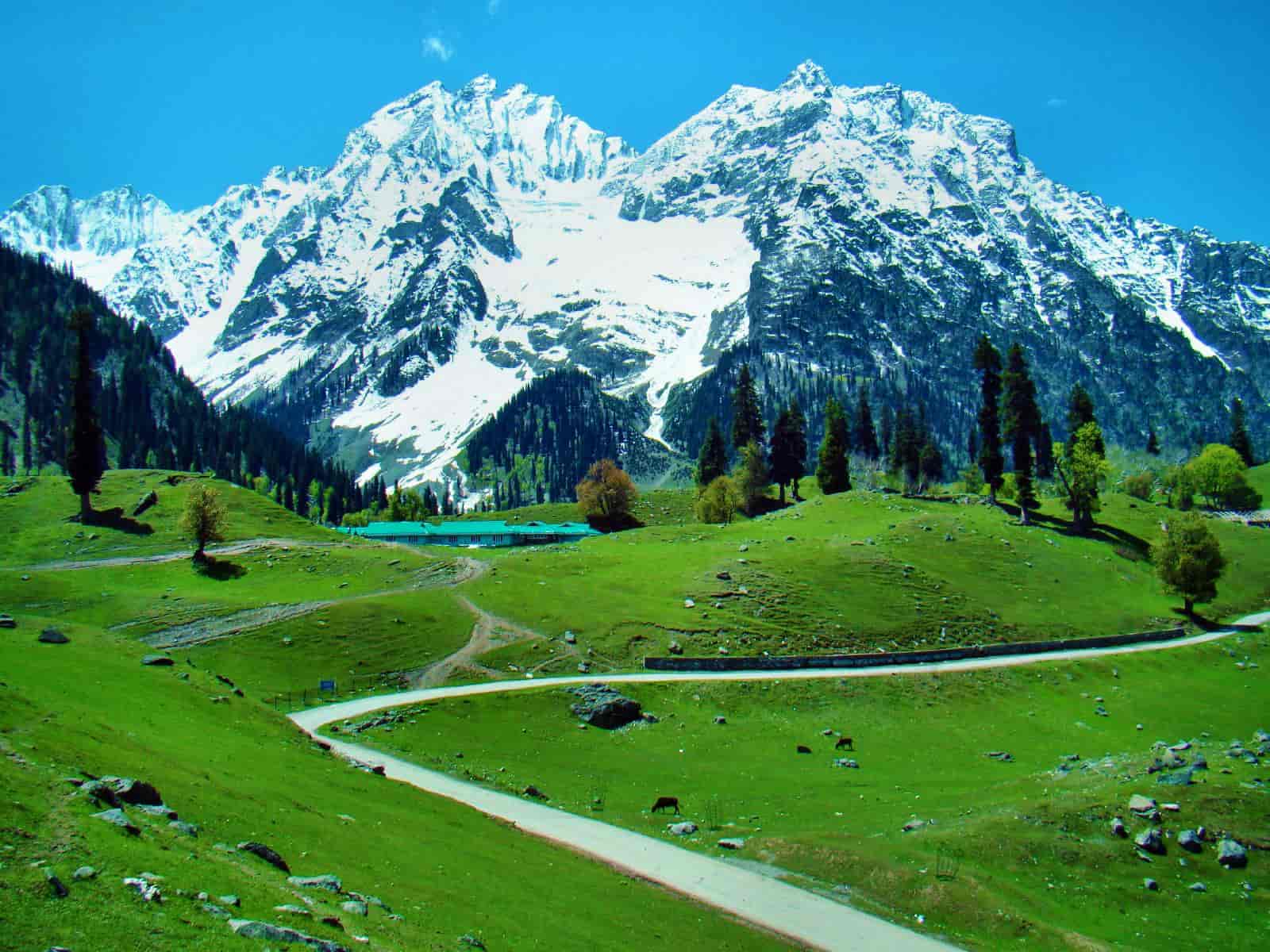Mughal gardens