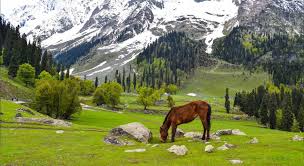 Sonamarg